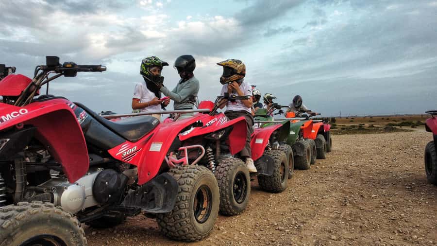Marrakech: Palmeraie Guided Quad Biking Tour with Tea - Who will enjoy this Palmeraie outing?