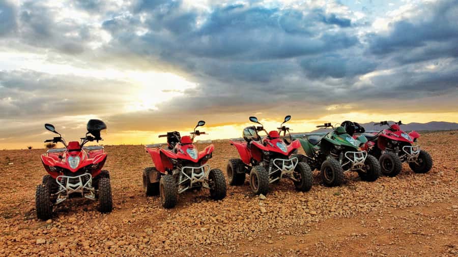 Marrakech: Palmeraie Guided Quad Biking Tour with Tea - Riding between palms, rocks, and open ground