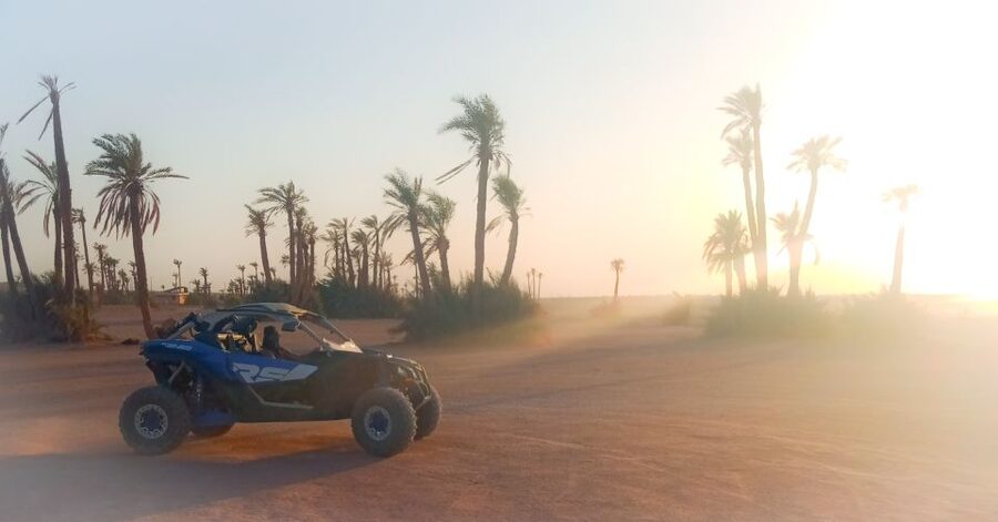 Marrakech: Private Palm Grove Camel and Quad Bike Ride - Leaving Marrakech for the palm grove