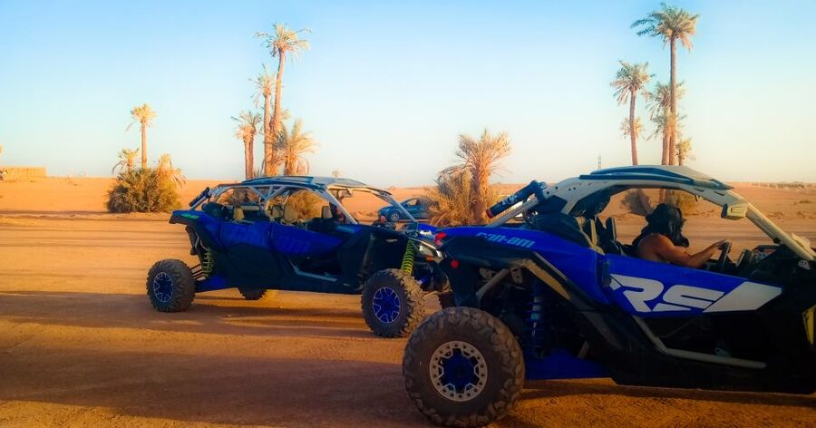 Marrakech: Private Palm Grove Camel and Quad Bike Ride - What the $58 price includes