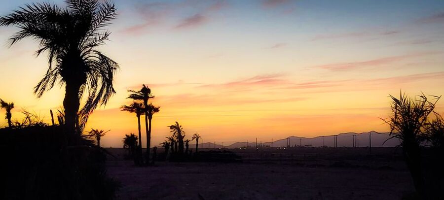 Marrakech: Private Palm Grove Camel and Quad Bike Ride - The people behind the experience