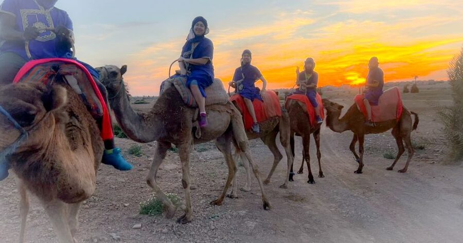Marrakech: Private Palm Grove Camel and Quad Bike Ride - Who should book this outing