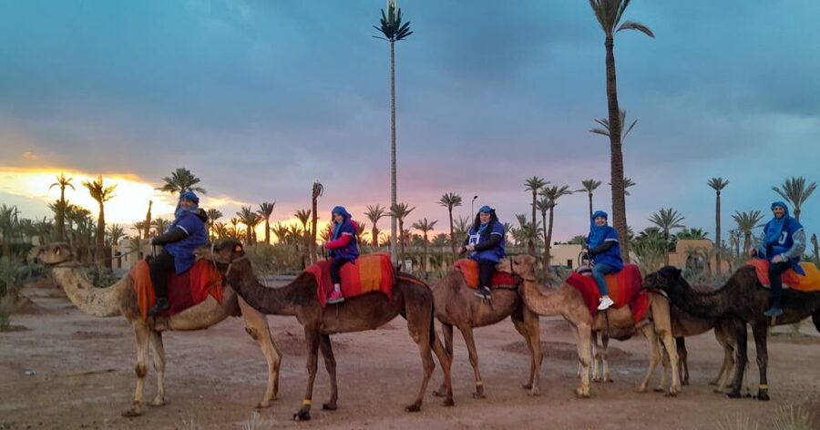 Marrakech: Private Palm Grove Camel and Quad Bike Ride - Should you book the Marrakech camel and quad tour?