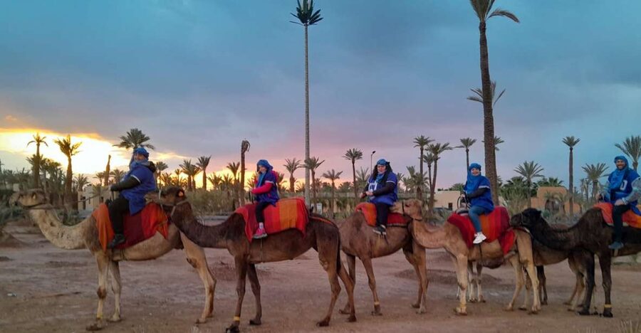 Marrakech: Private Palm Grove Camel and Quad Bike Ride - The camel ride lasts about one hour