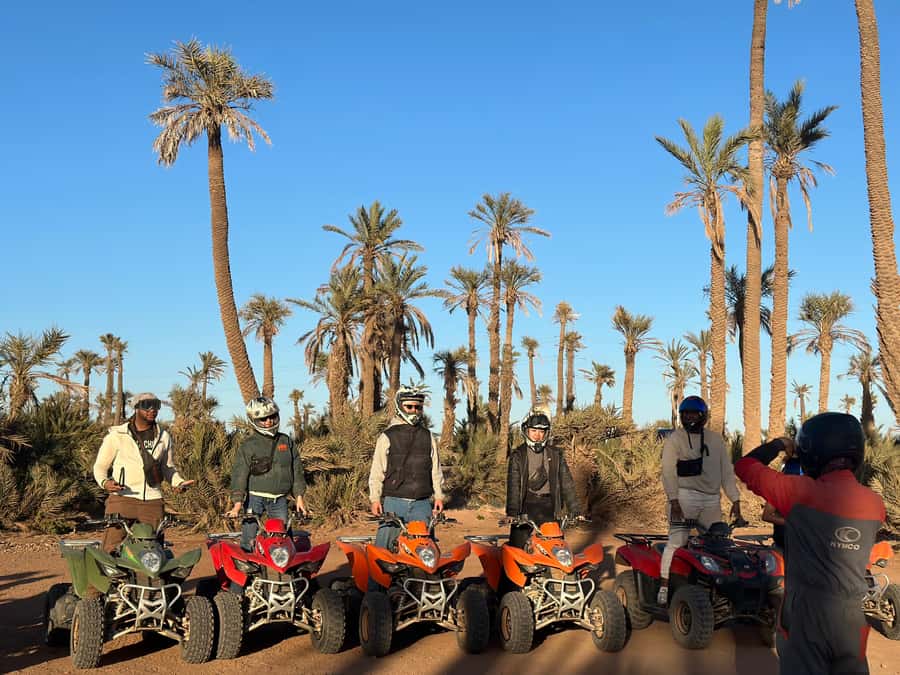 Marrakech: quad Adventure at the Dunes of the palmery desert - Riding through palms and rocky tracks