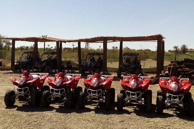 Marrakech Quad Bike Activity in desert palmeraies grove - The 15-minute Moroccan tea stop