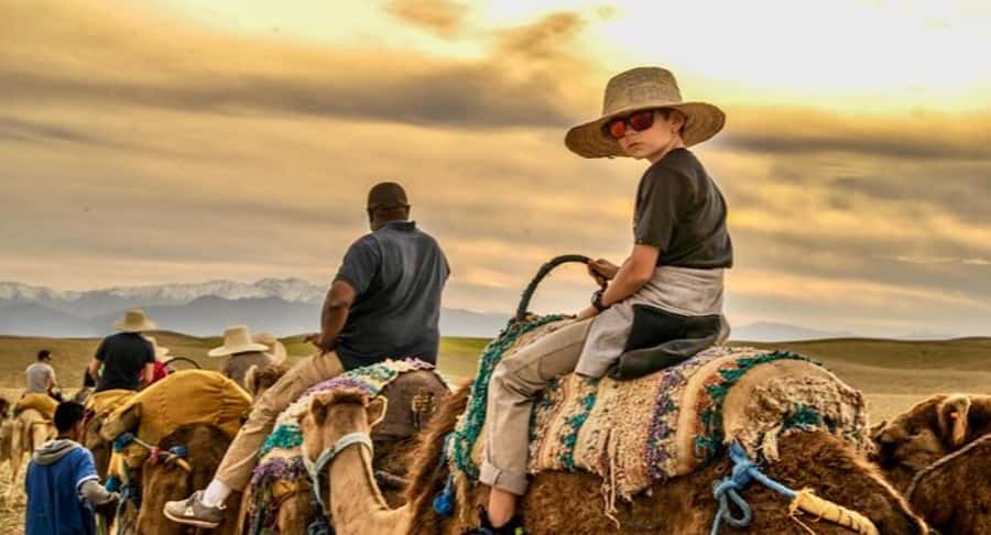 Marrakech: Quad Bike and Camel, Dinner Show in Agafay Desert - A 20-minute camel ride at sunset