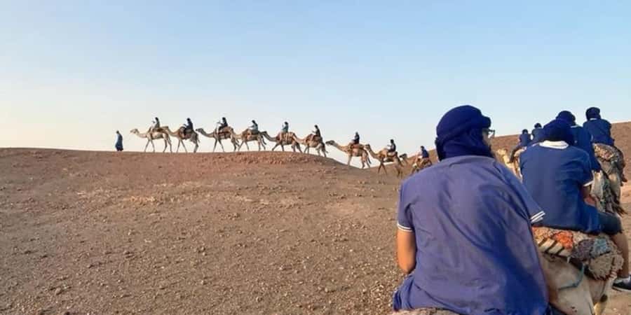 Marrakech: Quad Bike and Camel, Dinner Show in Agafay Desert - Who should book this Agafay evening?