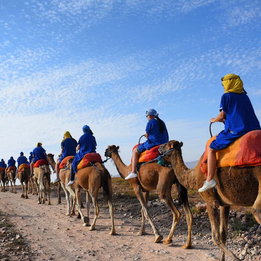Marrakech: quad bike and Camel Ride in Marrakech - The two-hour quad bike ride