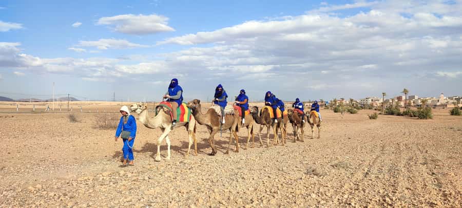 Marrakech: quad bike and Camel Ride in Marrakech - Pickup from Marrakech and the ride to the Palmeraie