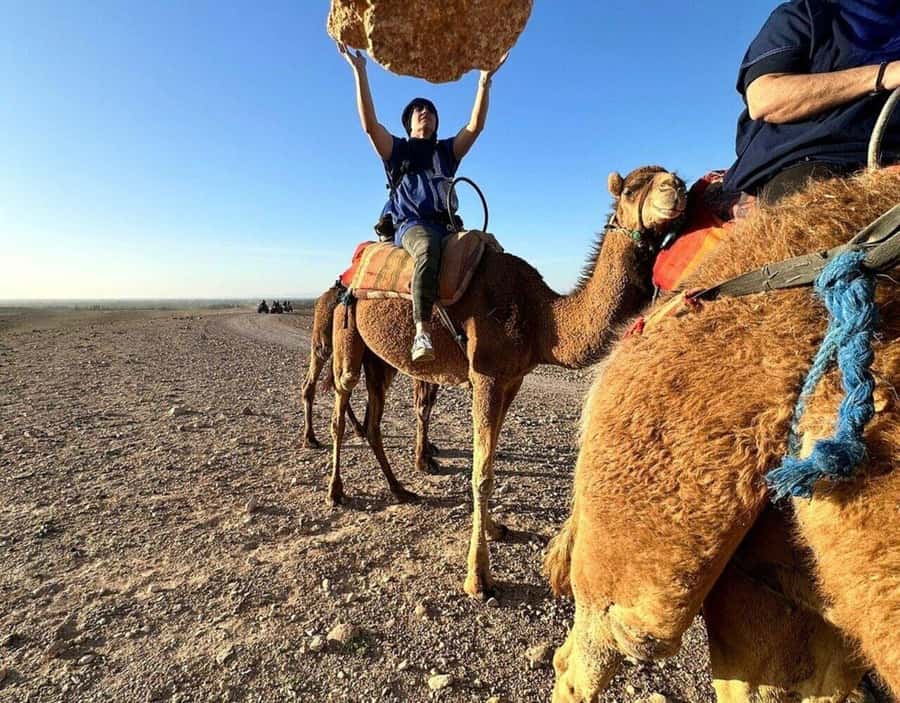 Marrakech : Quad Bike and Camel Ride with dinner in Agafay - Key points to know before booking