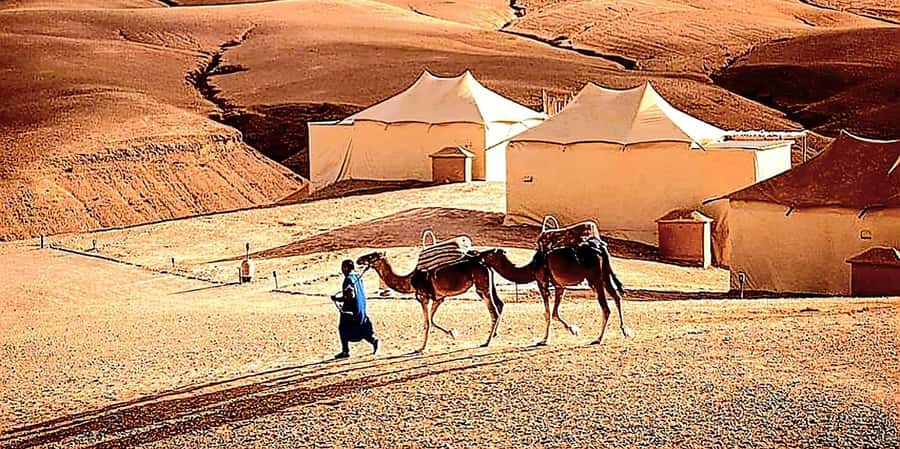 Marrakech : Quad Bike and Camel Ride with dinner in Agafay - How the timing feels in real use