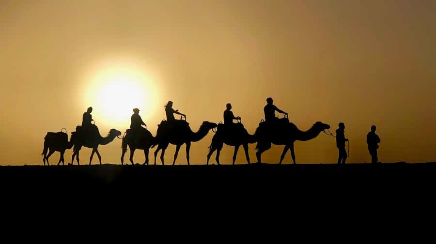 Marrakech: Quad Bike & Camel with dinner show & sunset - Key points to know before you book