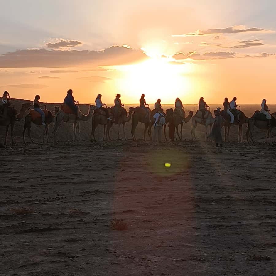 Marrakech: Quad Bike & Camel with dinner show & sunset - From Marrakech to the Agafay Desert