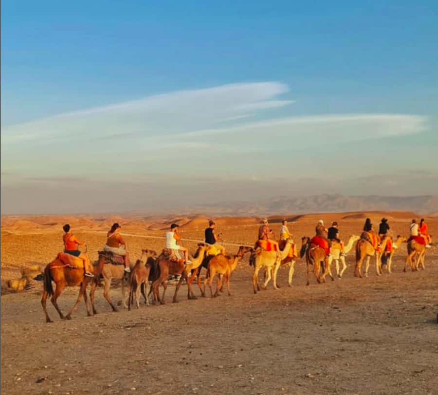 Marrakech: Quad Bike & Camel with dinner show & sunset - Moroccan dinner under the tent