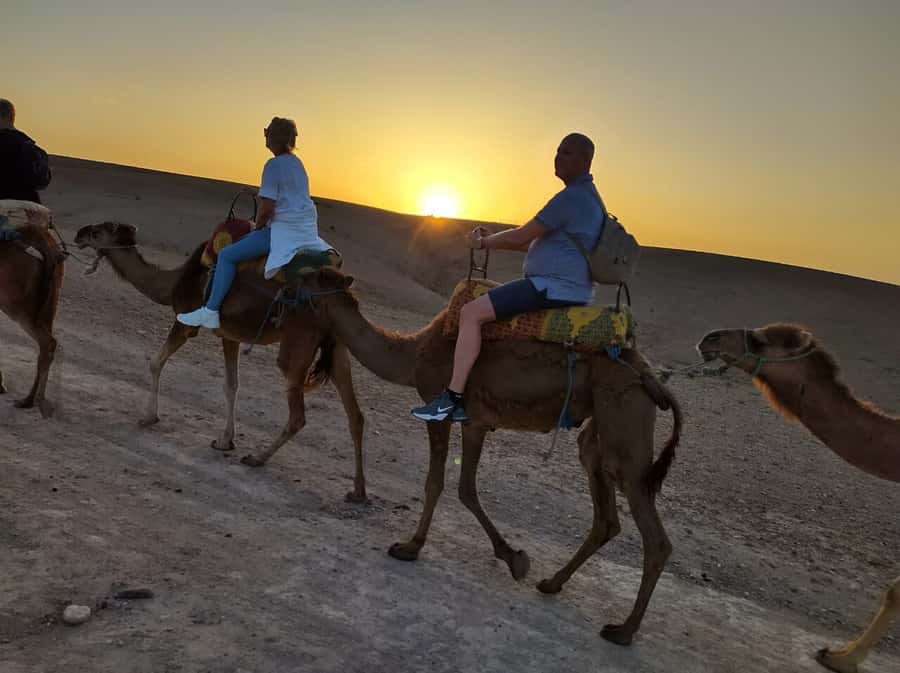 Marrakech: Quad Bike & Camel with dinner show & sunset - Camel riding in the fading light
