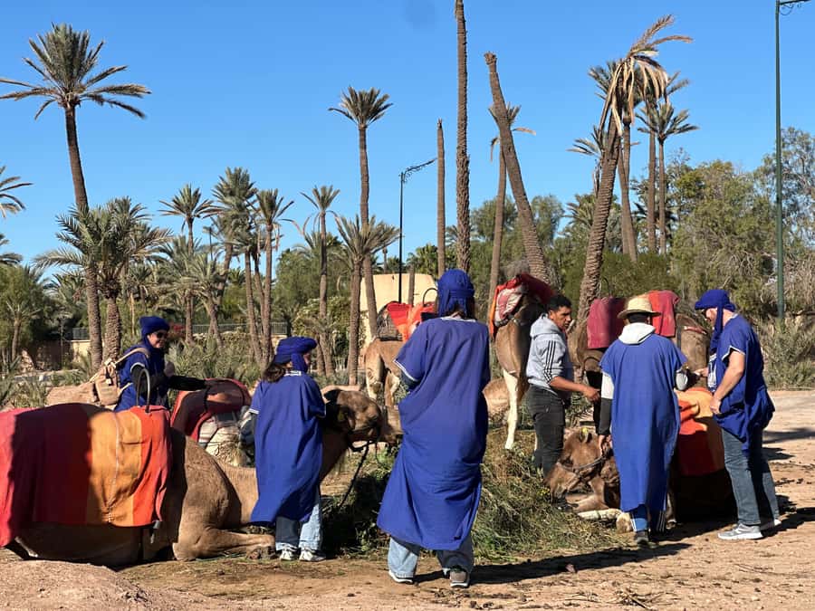 Marrakech: Quad Bike excursion at the sunset with Tea Break - Who should book this experience