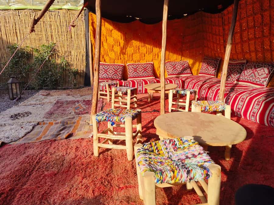 Marrakech: Quad Bike Tour to Palm Oasis and Jbilat Desert - Who should book this quad tour?
