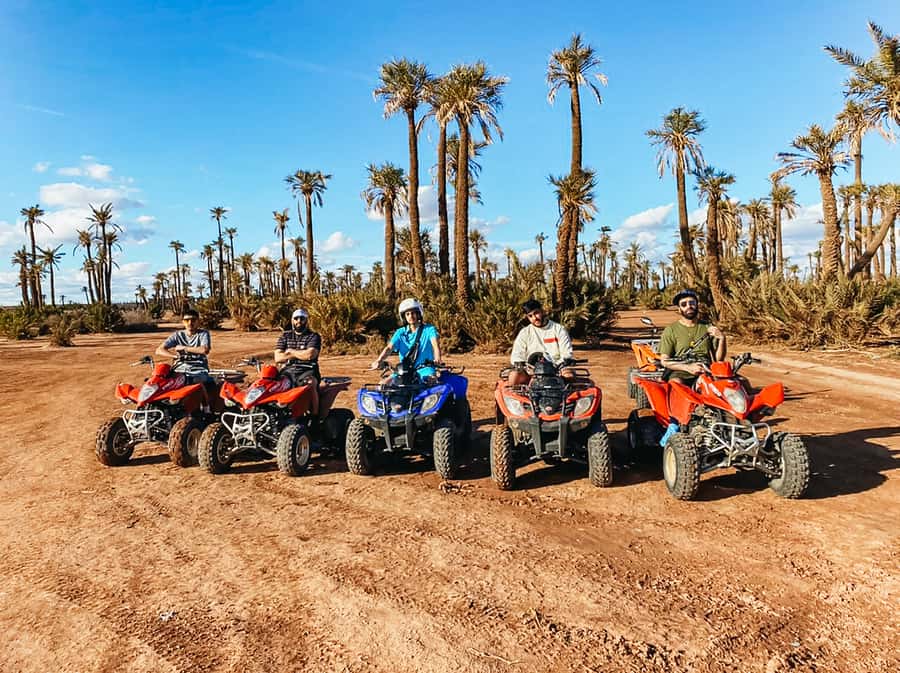 Marrakech: Quad Bike Tour to Palm Oasis and Jbilat Desert - Two hours across palms, rock, and open desert