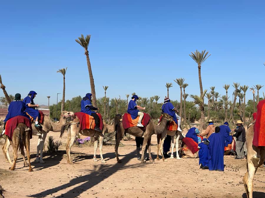 Marrakech:quad excursion at Jbilet desert with Moroccan tea - Entering the Jbilet desert