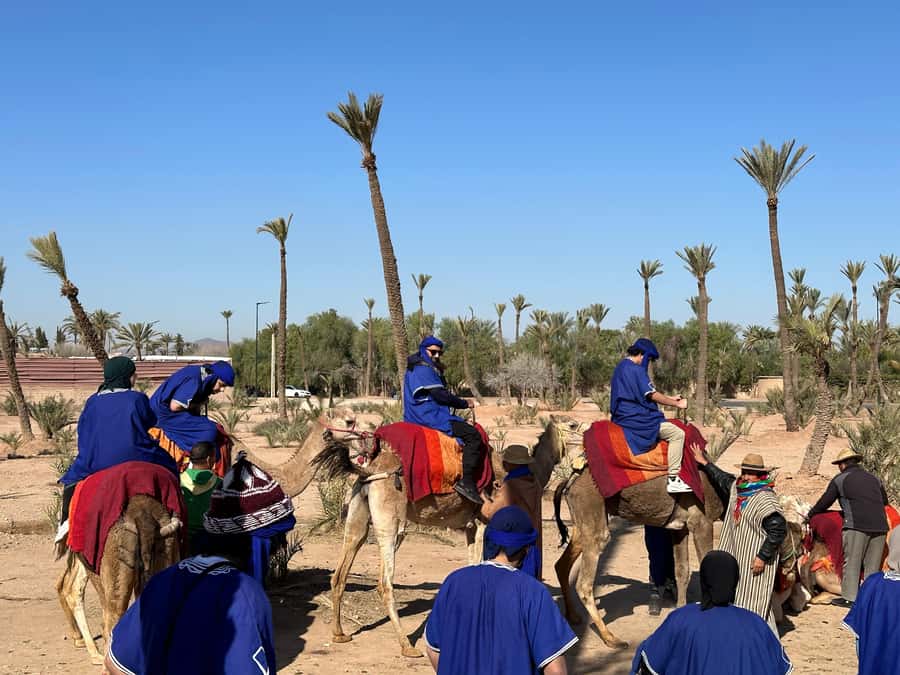 Marrakech:quad excursion at Jbilet desert with Moroccan tea - The tea stop in the desert