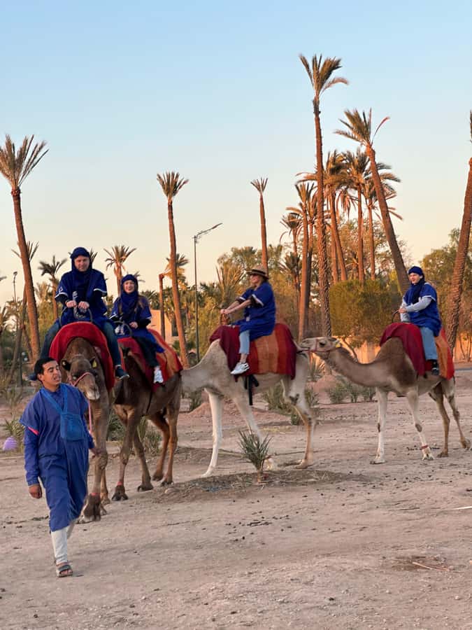 Marrakech:quad excursion at Jbilet desert with Moroccan tea - Who will enjoy this ride most