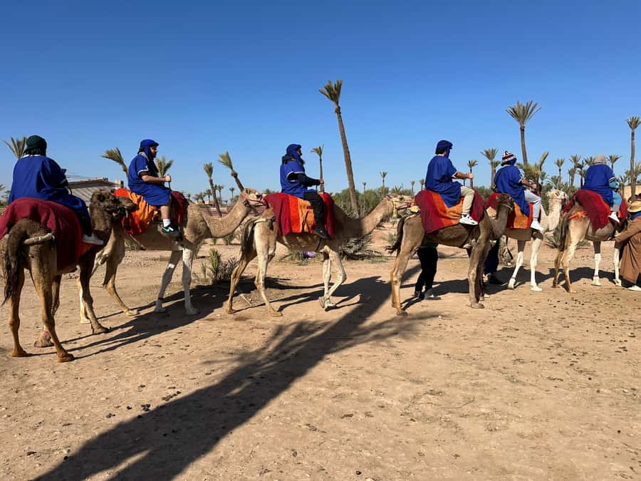 Marrakech:quad excursion at Jbilet desert with Moroccan tea - Guide quality and the overall mood