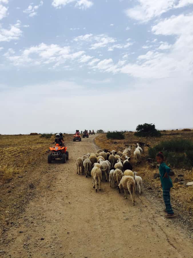 Marrakech: Quad Tour in Jbilets Desert with Palm Grove - Mint tea, biscuits, and the Berber house