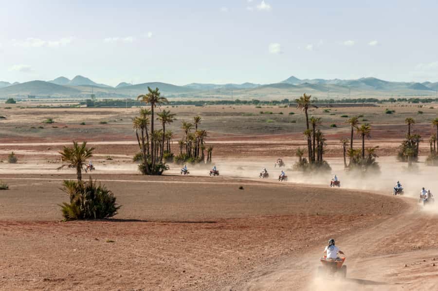 Marrakech: Quad Tour in Jbilets Desert with Palm Grove - Pickup from Marrakech and the 30-minute drive