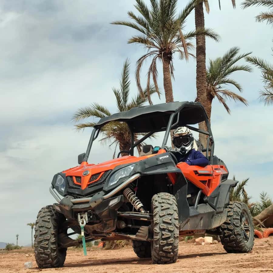 Marrakech : Ride buggy in the desert of the palm grove - Mint tea at a traditional stop