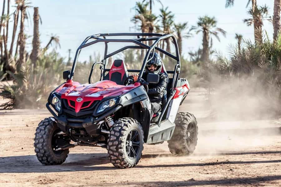 Marrakech : Ride buggy in the desert of the palm grove - Languages, booking, and timing