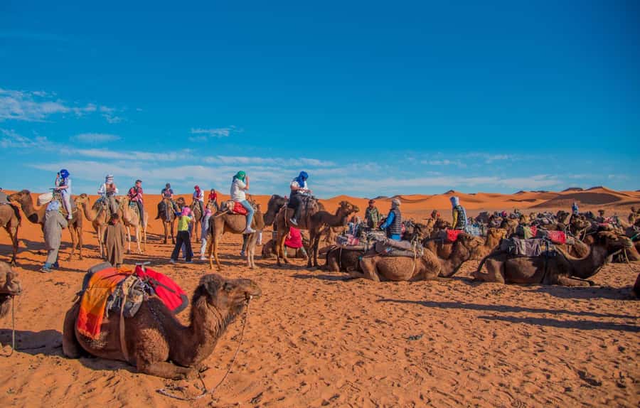 Marrakech to Fes: 3-Day Merzouga Desert Camel & Sandboarding - Key points to know before booking