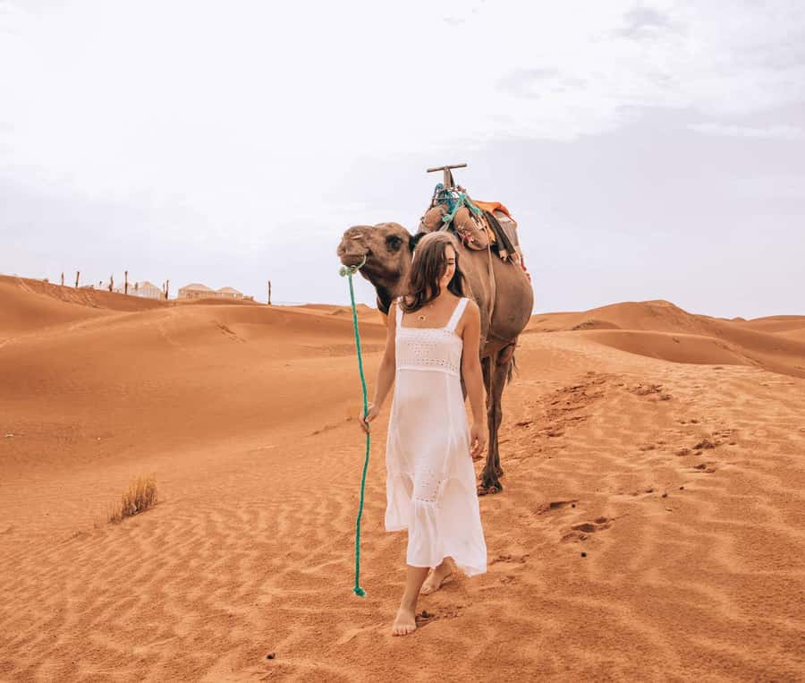 Marrakech to Fes: Quad, Dinner, Camel, 3-Day Desert Tour - Key points to know before booking