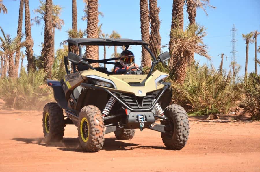 Marrakech: Tour Buggy 1000cc In Palm Oasis and Jbilat Desert - Key points before you book