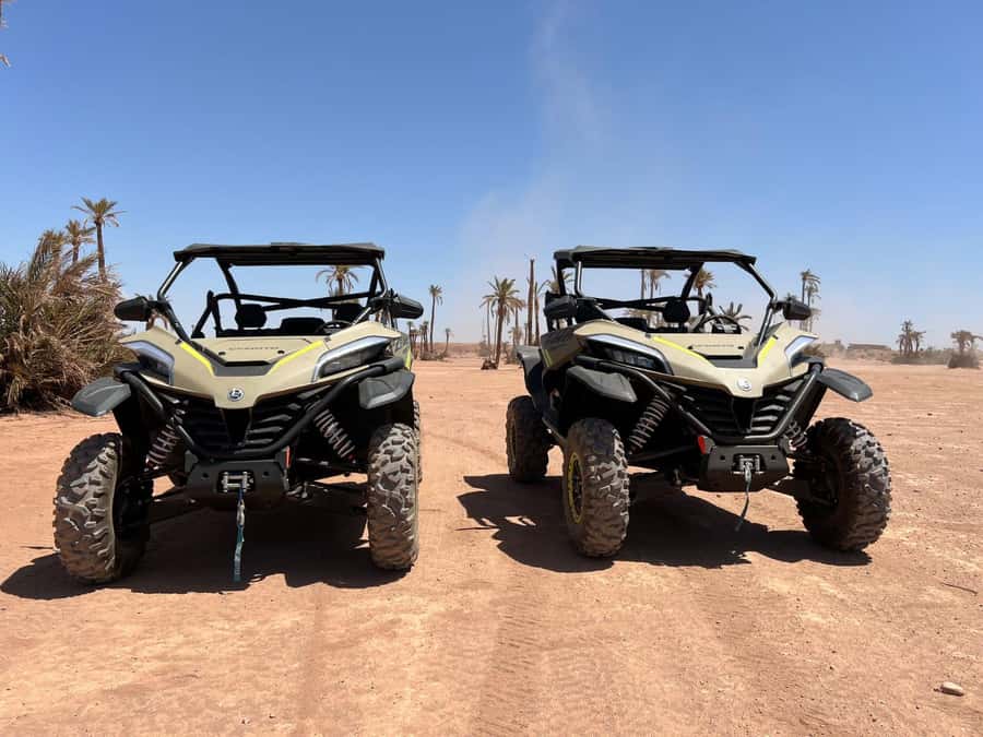 Marrakech: Tour Buggy 1000cc In Palm Oasis and Jbilat Desert - From Marrakech hotel pickup to the palm oasis