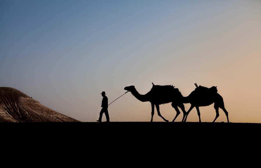 Marrakesh: Agafay Desert Quad & Camel Tour with Dinner - The 45-minute ride from Marrakech