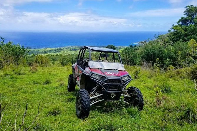 Maui: Lahaina ATV Adventure - The guide-led stops and Hawaiian context