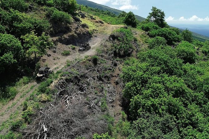 Maui: Lahaina ATV Adventure - From former pineapple fields to the west Maui hills