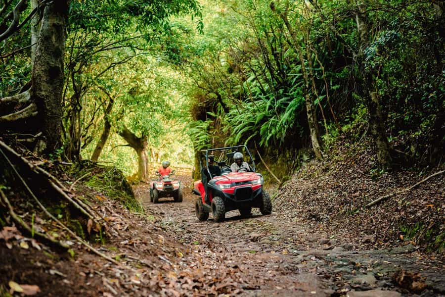 Mauritius: Bel Ombre Nature Reserve Quad Bike Tour - The waterfall stop and the case for bringing swimwear
