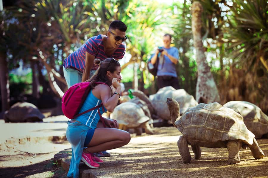 Mauritius: Full-Day Quad Bike Tour with Lunch - Riding Across Sugar Cane Fields and Rough Tracks