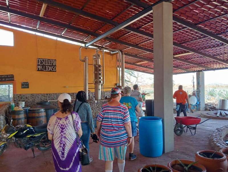 Mazatlán: Beach & Jungle ATV Tour w/ Lunch & Tequila Tasting - Tequila and mezcal made on site