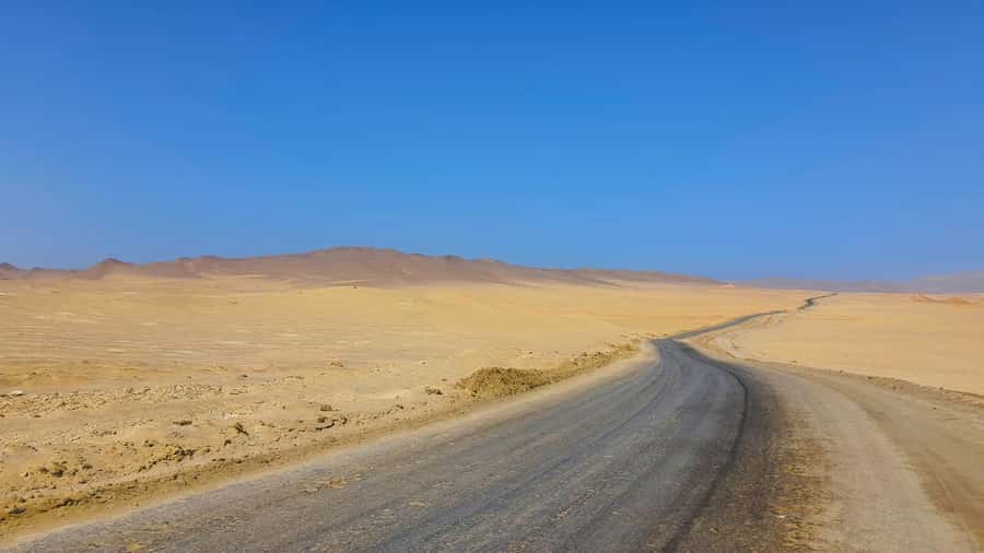 Mini Buggy GO KART in Paracas National Reserve - Who should book this experience