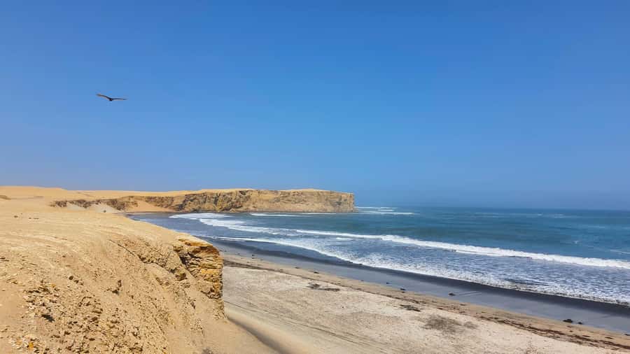 Mini Buggy GO KART in Paracas National Reserve - Practical tips for a smoother ride