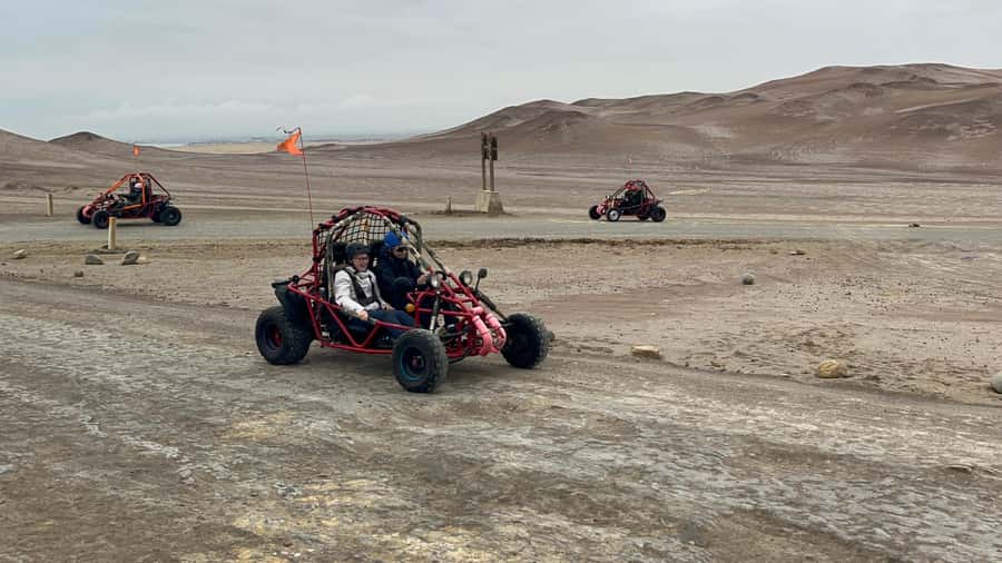 Mini Buggy GO KART in Paracas National Reserve - Starting in Paracas: pickup, payment, and safety