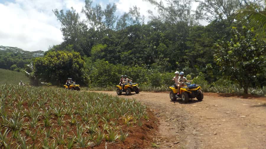 Mo'orea: Guided ATV Nature Tour - Key points at a glance