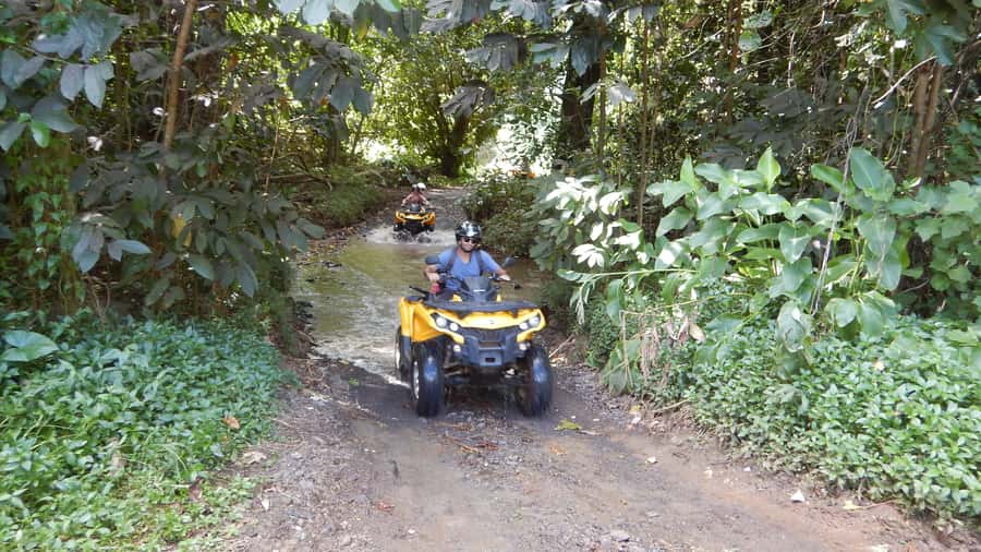 Mo'orea: Guided ATV Nature Tour - Why this ATV tour works so well on Mo’orea
