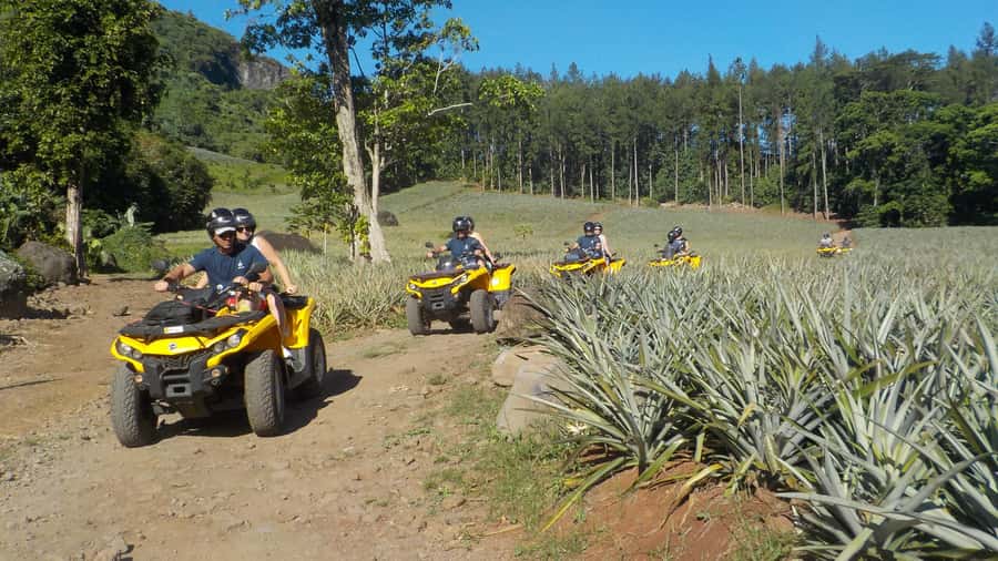 Mo'orea: Guided ATV Nature Tour - Riding through plantations and pineapple fields