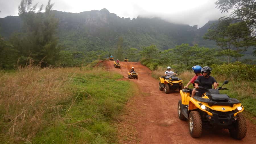 Mo'orea: Guided ATV Nature Tour - Feeding freshwater eels and meeting the valley’s character