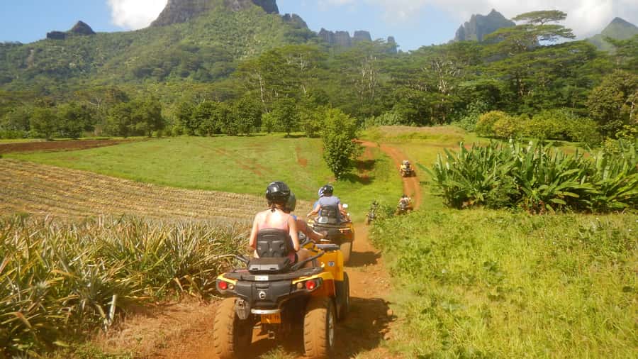 Mo'orea: Guided ATV Nature Tour - Belvedere views over Cook’s Bay and Opunohu Bay