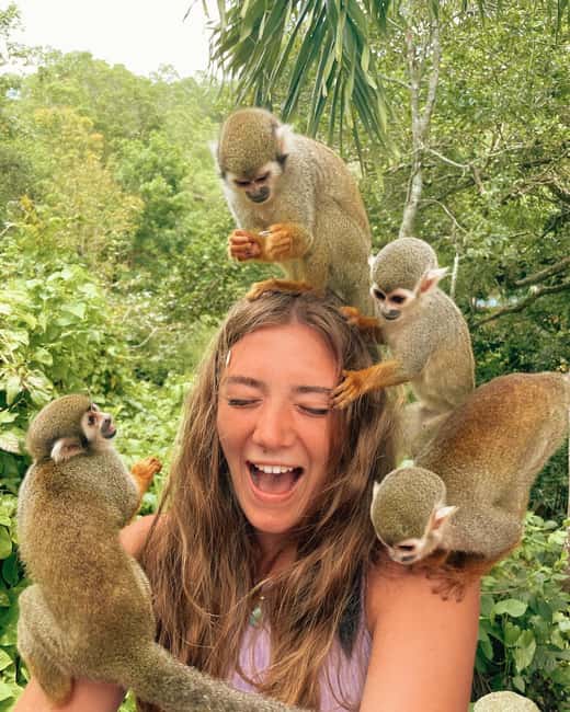 Monkey Encounter + ATV Riding Adventure – Puerto Plata - Key points at a glance